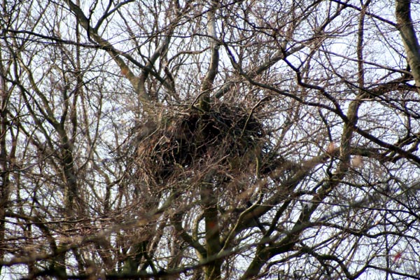 Killikus® Fotographie Killikus® Fotographie